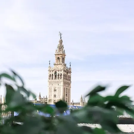 Alohamundi Catedral Apartamento