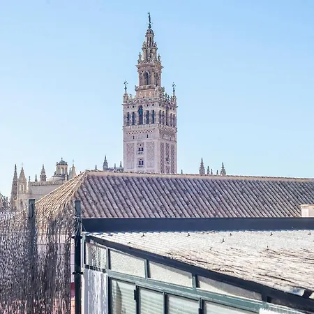 Apartamento Alohamundi Catedral