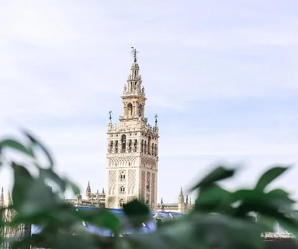 Alohamundi Catedral 아파트